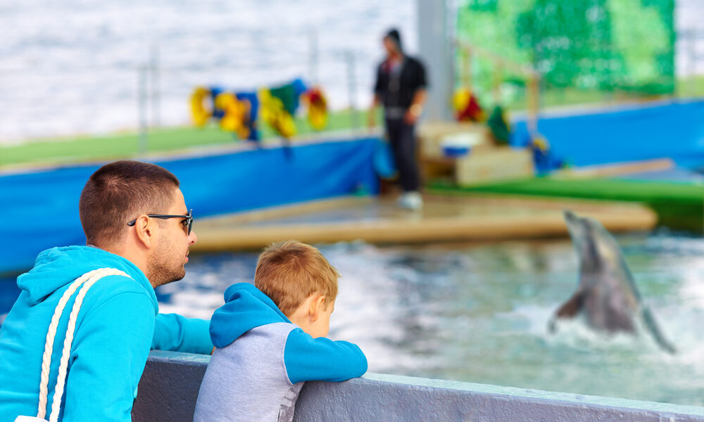 Captivating Animal Shows: Fun Learning for Kids!