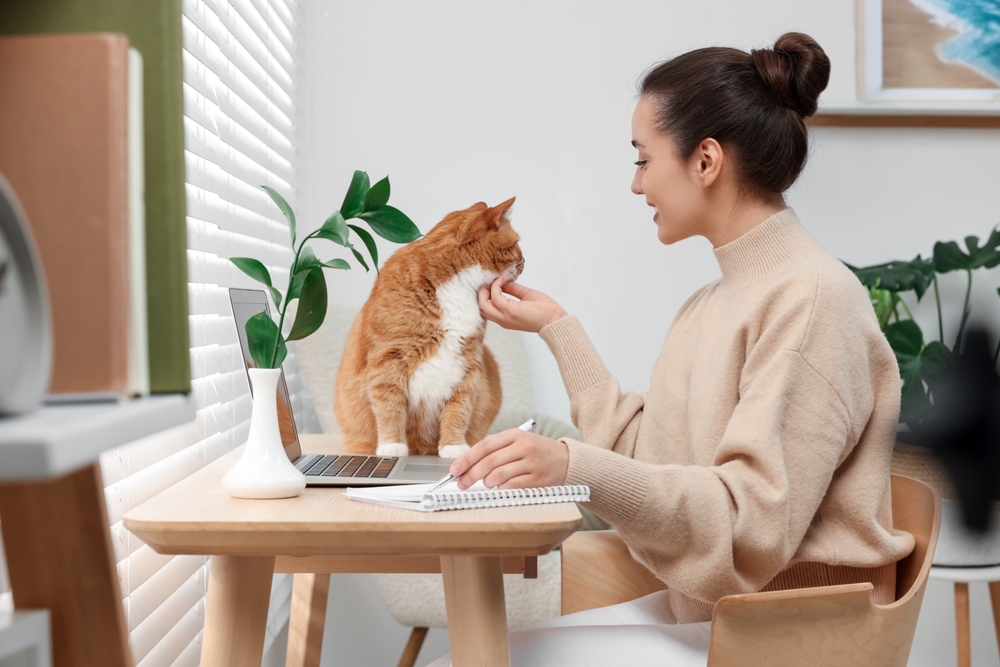 Adorable Feline Friends