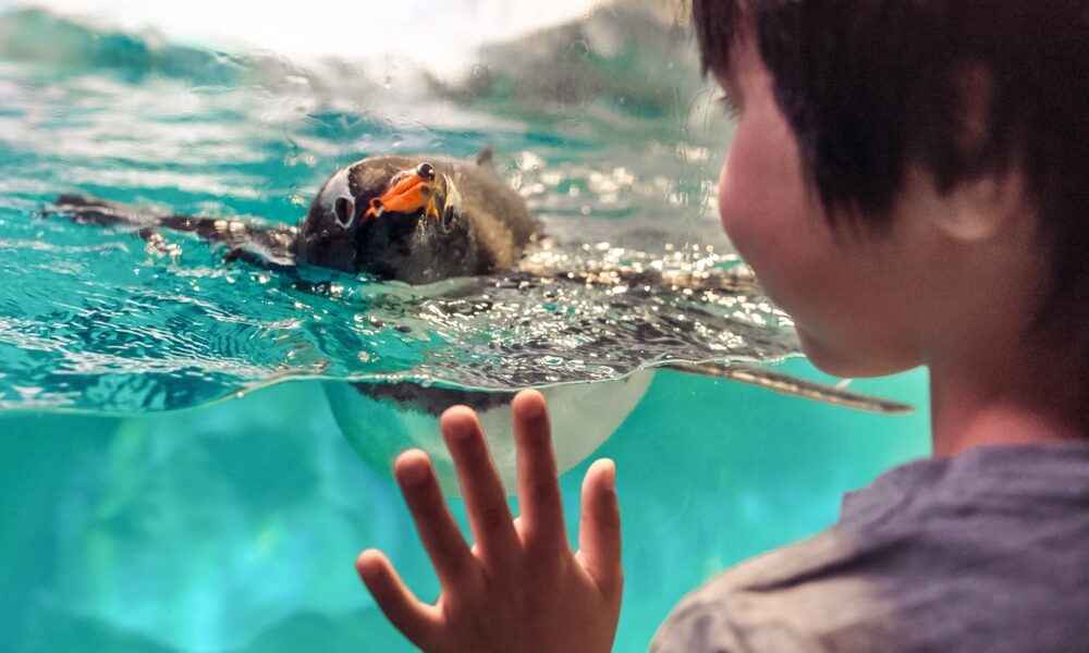 Puppy Joy: Irresistibly Cute and Heartwarming Tales