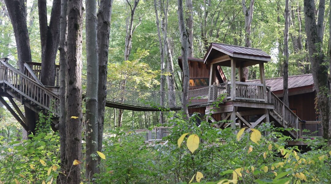 Alex Meyer from Treehouse Masters: Where Is He Now?